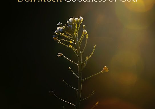 Don Moen – Goodness of God